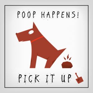 poop happens. pick it up. card calls to clean up poop after your dog